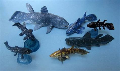 Field Guide To Coelacanth Replicas Boing Boing