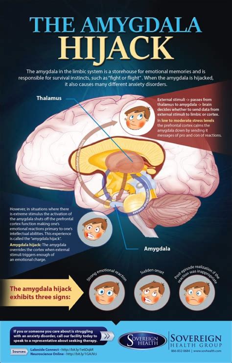 Psychology Infographic The Amygdala Hijack Sovhealth