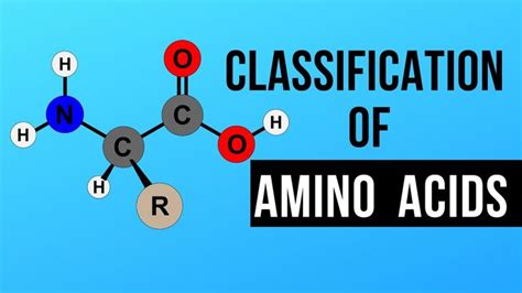 Classification Of Amino Acids Classification Of Amino Acids