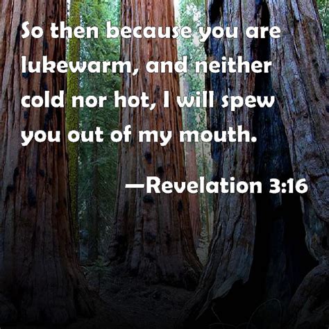 Revelation 3 16 So Then Because You Are Lukewarm And Neither Cold Nor Hot I Will Spew You Out