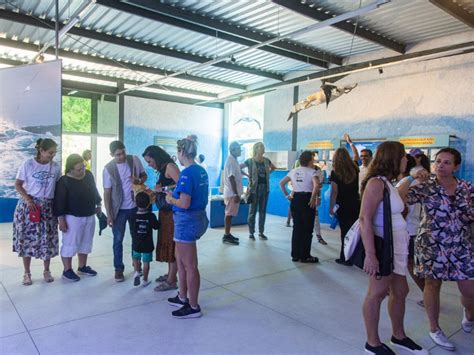 Mais De Mil Pessoas Participam Da Festa De Inaugura O Do Centro De