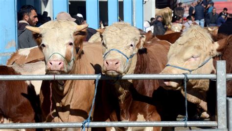 kurban bayrami takvimi  kurban bayrami seneye ne zaman ayin