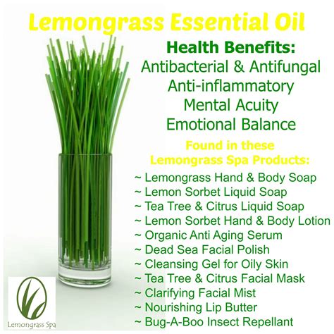 Health Benefits Of Lemongrass Essential Oil Found In Many Lemongrass