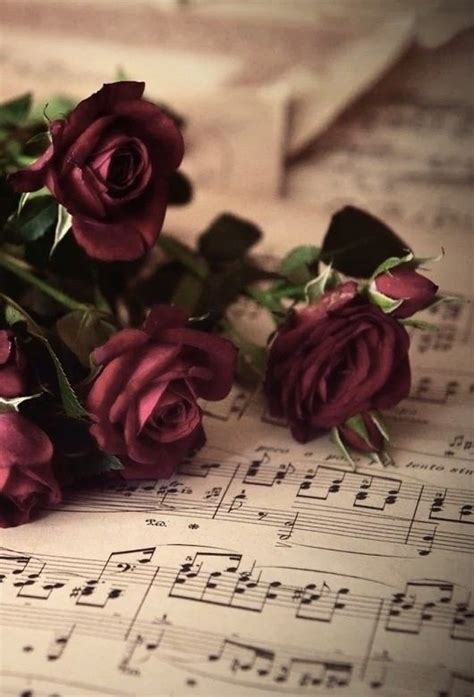 Some Red Roses Are Laying On Top Of Sheet Music