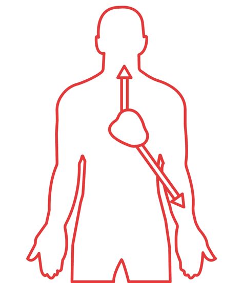 Understanding Angina Causes Symptoms And Treatment One Heart Clinic