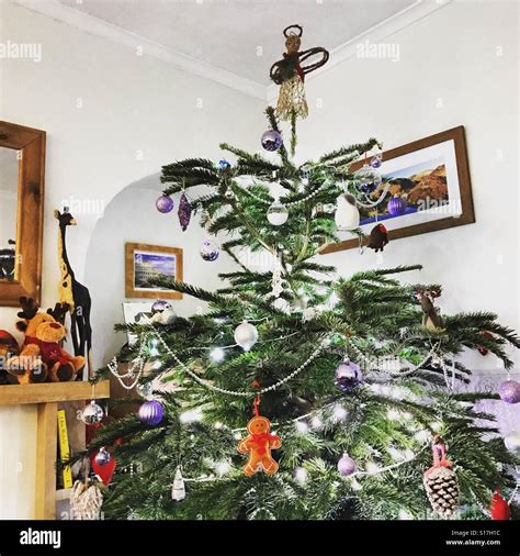 Christmas tree with twinkling lights Stock Photo - Alamy