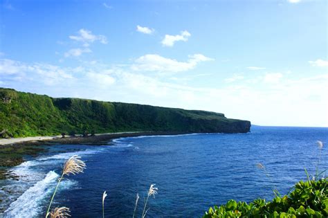 生命の宝庫「徳之島」の魅力とは？徳之島への行き方と絶景スポットを厳選してご紹介！ 奄美ツアーズ