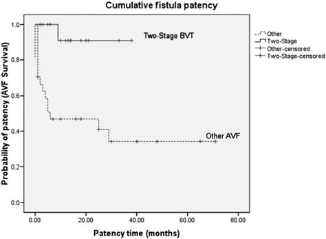 Two Stage Basilic Vein Transpositiona New Approach For Pediatric