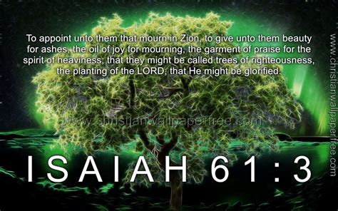 Isaiah 61 Verse 3