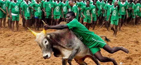 Jallikattu Ban Hurts Tamil Pride, State Erupts In Massive Protests ...