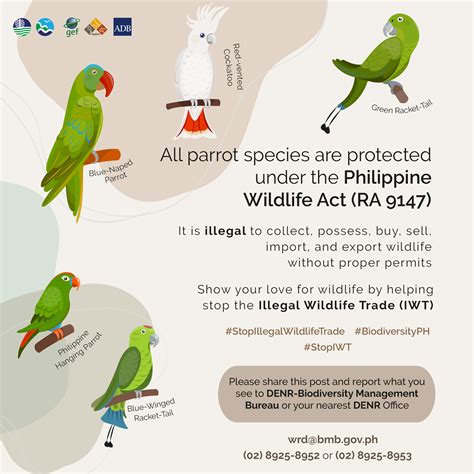 The Philippines - Illegal Wildlife Trade Projects: Combating the