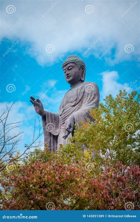 Ushiku Daibutsu World Tallest Bronze Statue Of Buddha Editorial Photo