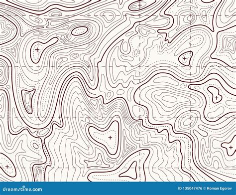 Topographic Map Trail Mapping Grid Contour Terrain Relief Line