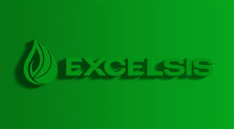 Vowels Clients Excelsis Business Solutions Pvt Ltd Vowels India