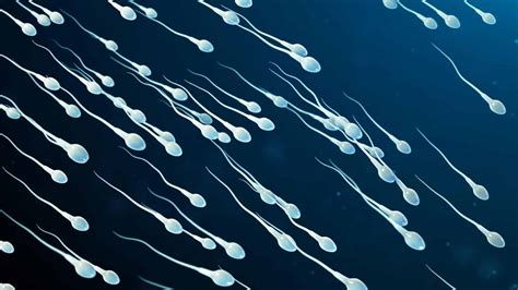 Sperm Volume Everything You Need To Know