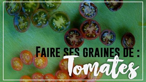 Permaculture Faire Ses Graines De Tomates YouTube