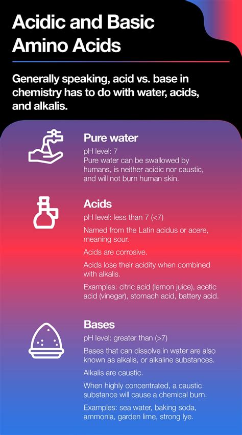 Acidic and Basic Amino Acids Explained – The Amino Company