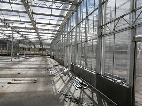 Glass greenhouse project in Italy