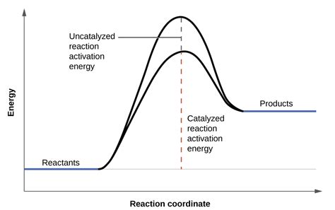 Factors Affecting Reaction Rates Chemistry