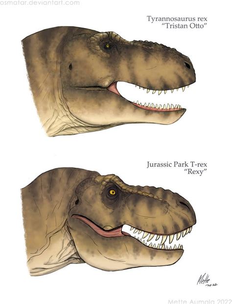 MesoZooic: T. rex vs T-rex by Osmatar on DeviantArt in 2022 | Jurassic ...