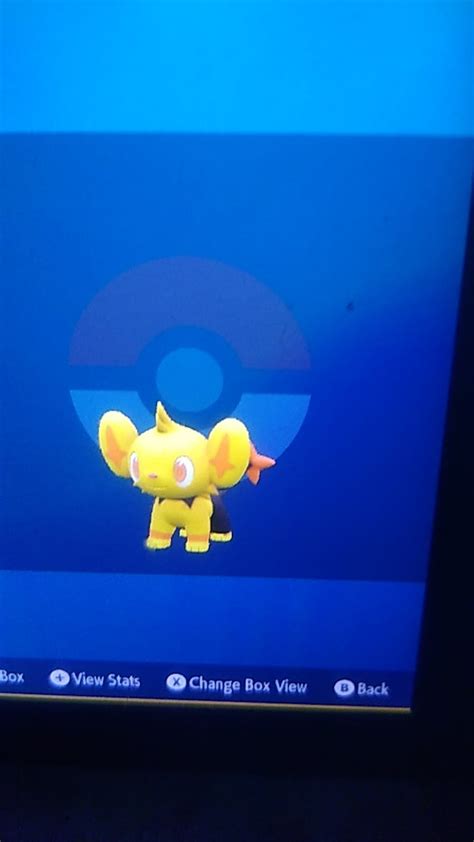 [IX]my first shiny in Pokemon Scarlet : r/ShinyPokemon