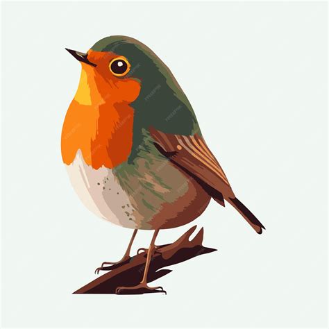 Premium Vector Vector Cute Robin Bird Cartoon Style