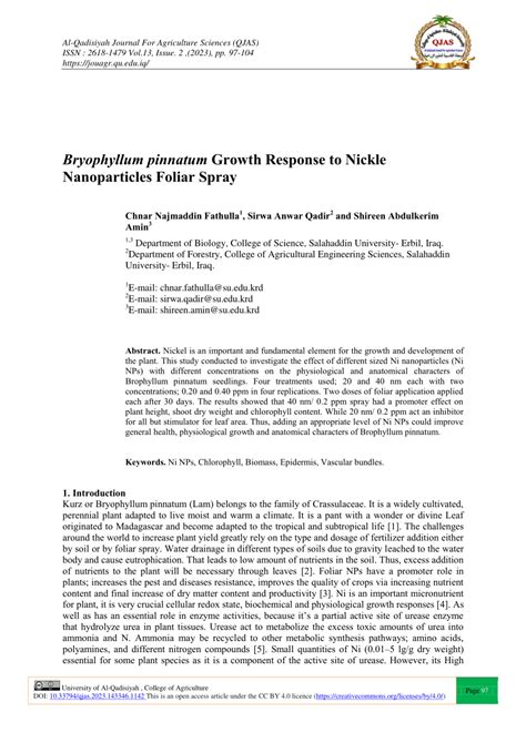 Pdf Bryophyllum Pinnatum Growth Response To Nickle Nanoparticles