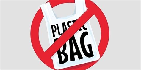 Plastic Bag Ban • Sustainability at Purchase • Purchase College