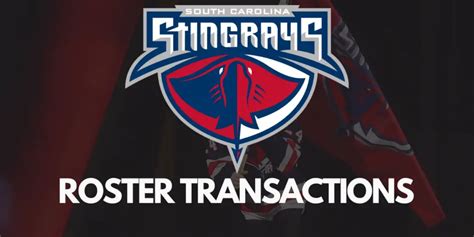 ECHL: South Carolina Stingrays Add Two Defensemen to their 2024-25 ...