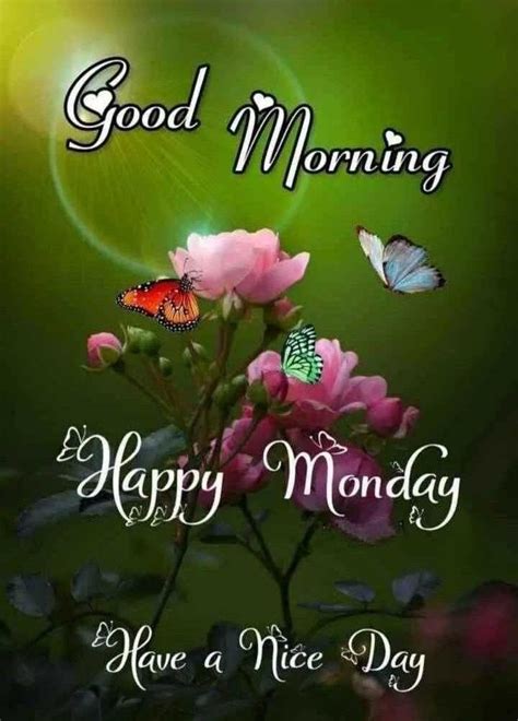 Pin By Harihara Sahoo On Happy Monday Good Morning Happy Monday