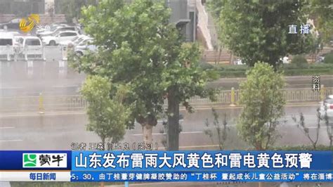 山东发布雷雨大风黄色和雷电黄色预警 每日新闻 齐鲁频道 山东网络台 齐鲁网