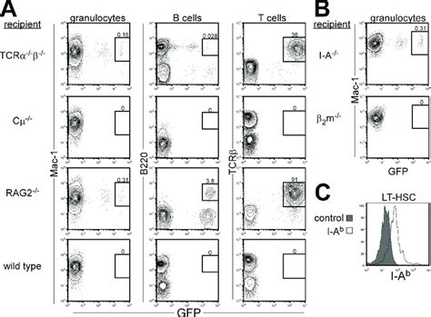 Host T cells act as barriers to productive HSC engraftment A α β T