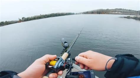 Northern Pike Teeth: Friend or Foe? The Surprising Facts! | The Infox