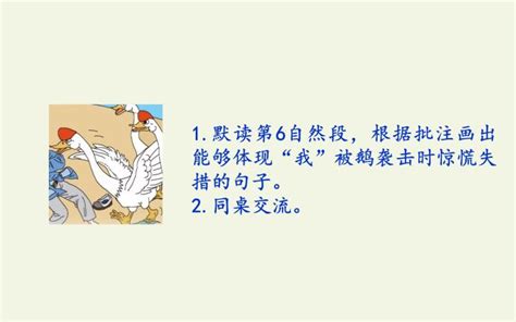 人教部编版四年级上册18 牛和鹅课文课件ppt 教习网课件下载