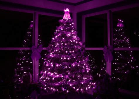 Purple Christmas Tree Pictures, Photos, and Images for Facebook, Tumblr ...