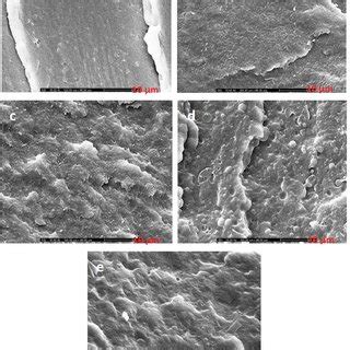 SEM Micrographs Of Cryo Fractured Surface Of A Neat PLA B PLA PBS