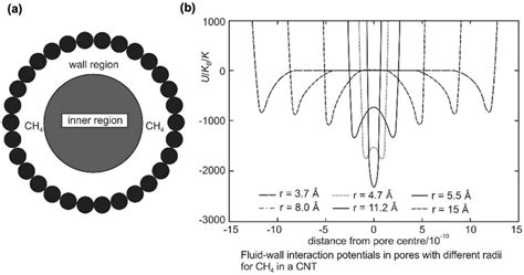 A Subdivision Of A Pore In A Wall Region And An Inner Region B