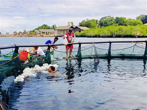 Sustainable fishing practices will soon impact cangremar availability 31