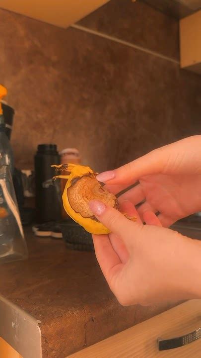 Просто лайф🥭 ️ #манго #mango #растения #пальмы #домашнийвлог #фрукты # ...