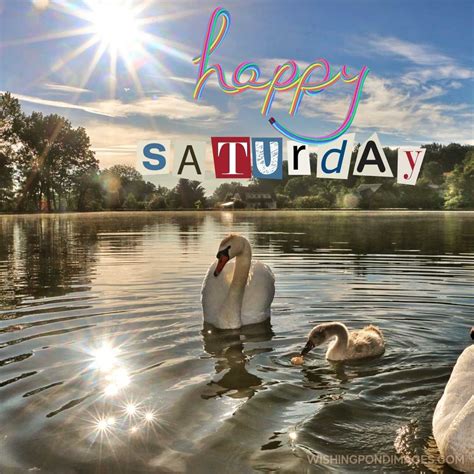 Good Morning Saturday Images Wishing Pond Images