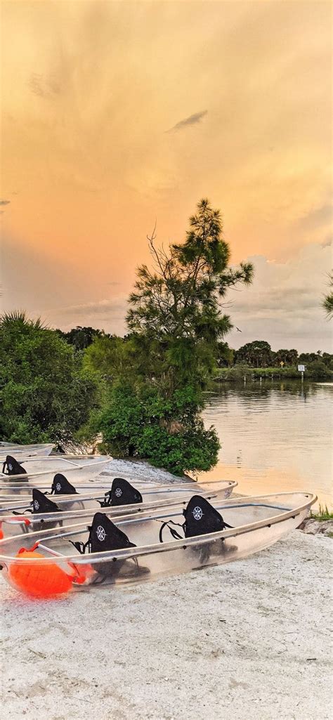 Bioluminescent Kayaking Florida S Best Kept Odd Thrilling Magical Secret