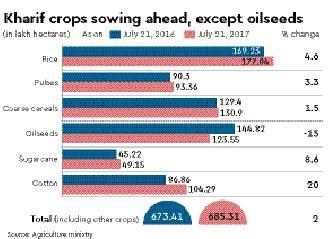 Kharif Crops Sowing In Full Swing Except Oilseeds Industry News The