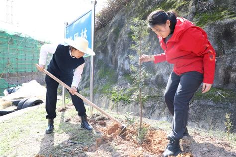 共植清风树 传承廉洁风 建德城投 建德新闻网