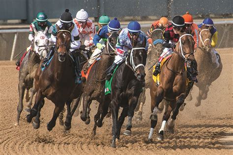 Oaklawn Looking to Add Horse Racing in December - AY Magazine