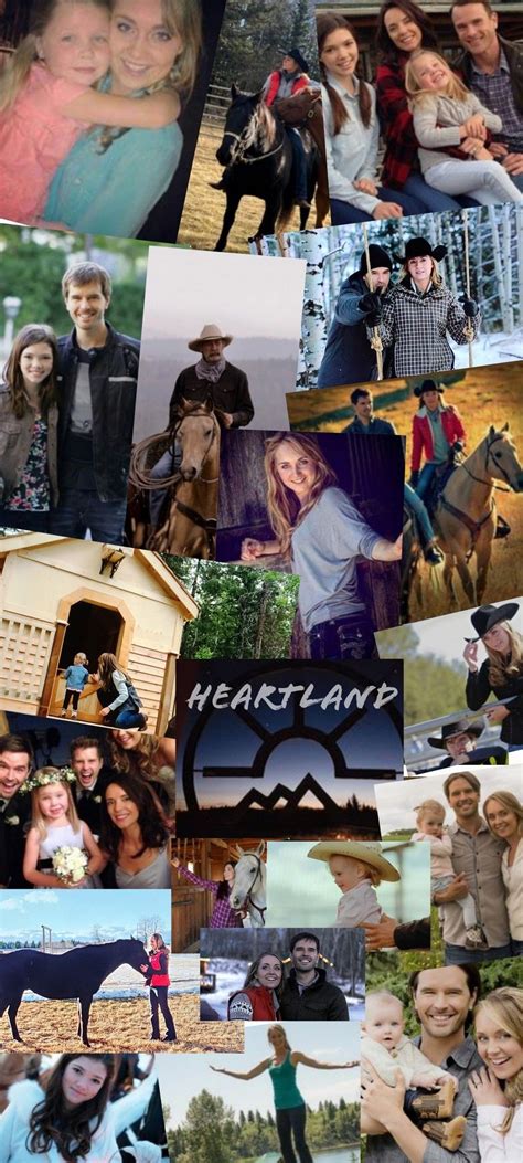 Heartland Wallpaper | Heartland tv show, Heartland, Heartland tv