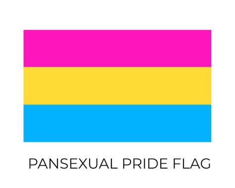 Pansexual Pride Flag Símbolo Da Comunidade Lgbt Bandeira Vetor