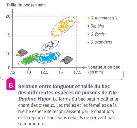 La Biodiversité Résultat Et étape De Lévolution