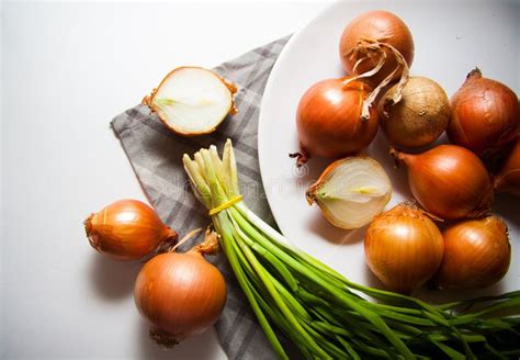 Raizes Da Cebola Imagem De Stock Imagem De Cozinha Casa 64192077