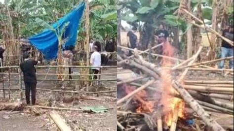 Video Detik Detik Polisi Gerebek Judi Sabung Ayam Di Pinrang Hasilnya