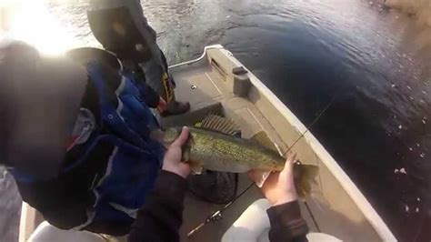 Peshtigo River Spring Walleyes Youtube